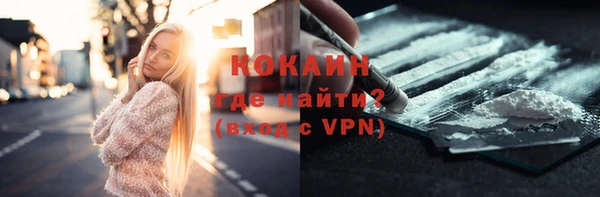 стаф Абинск
